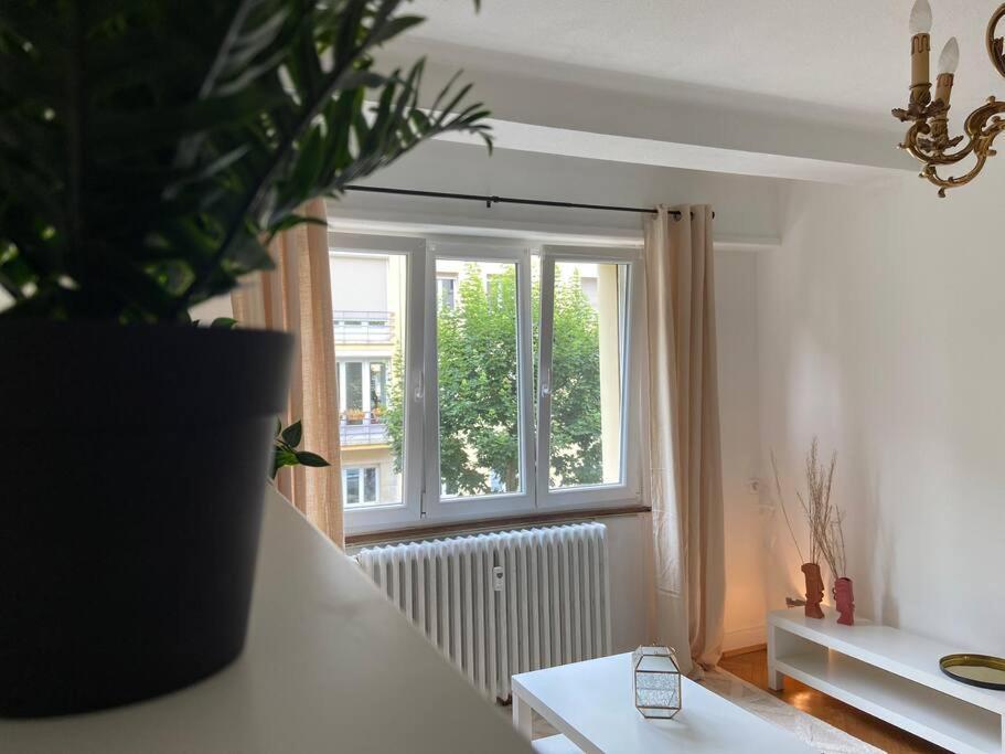 Charismatique Orangerie-10Min Parlement Eu-Wifi-Tv Apartman Strasbourg Kültér fotó