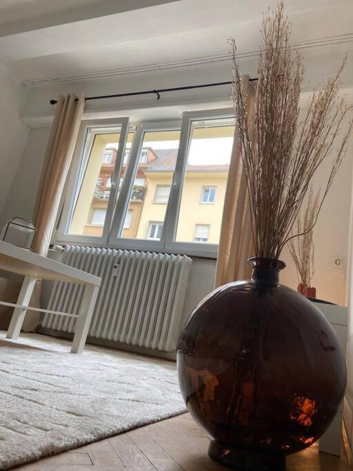 Charismatique Orangerie-10Min Parlement Eu-Wifi-Tv Apartman Strasbourg Kültér fotó