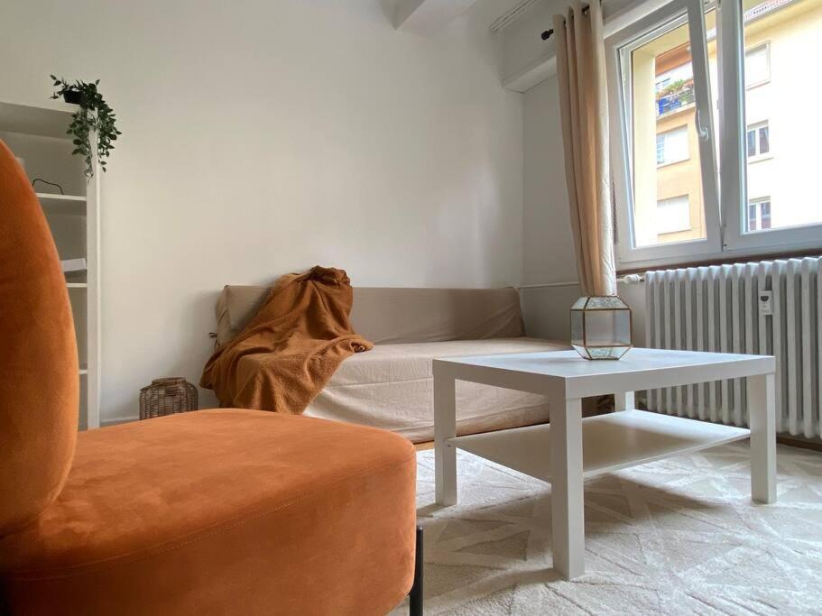Charismatique Orangerie-10Min Parlement Eu-Wifi-Tv Apartman Strasbourg Kültér fotó